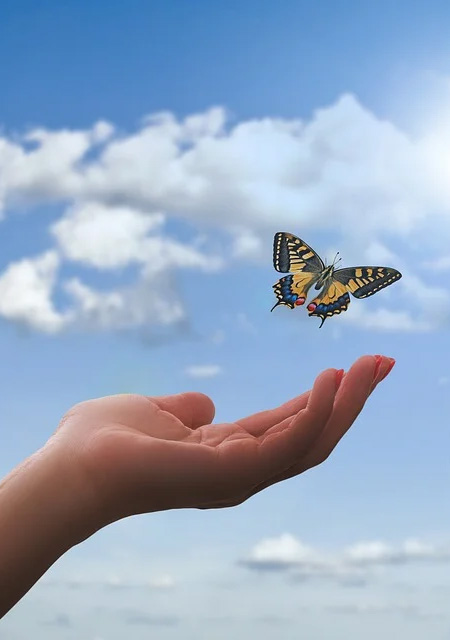 Main avec un papillon qui s envole portrait
