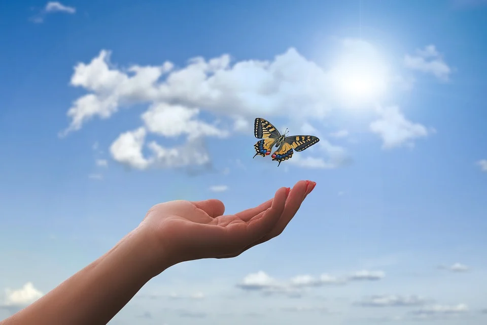 Main avec un papillon qui s envole Main avec un papillon qui s envole