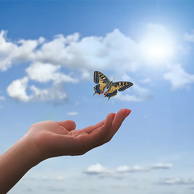 Main avec un papillon qui s envole
